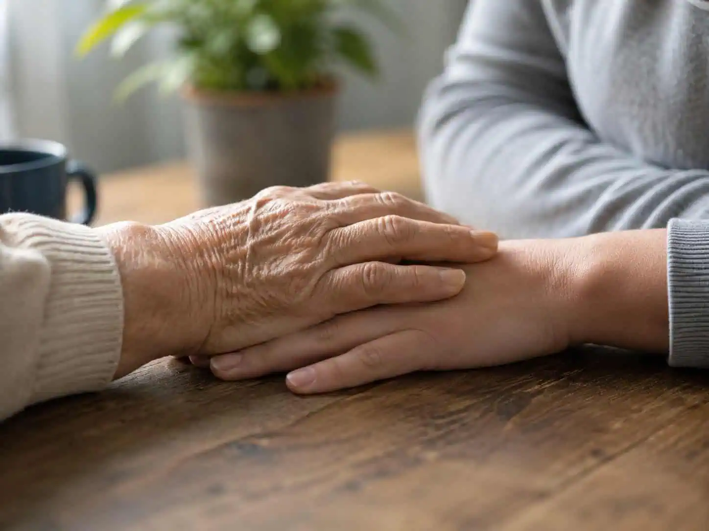 Image of a senior parent and adult child's hands, concept of