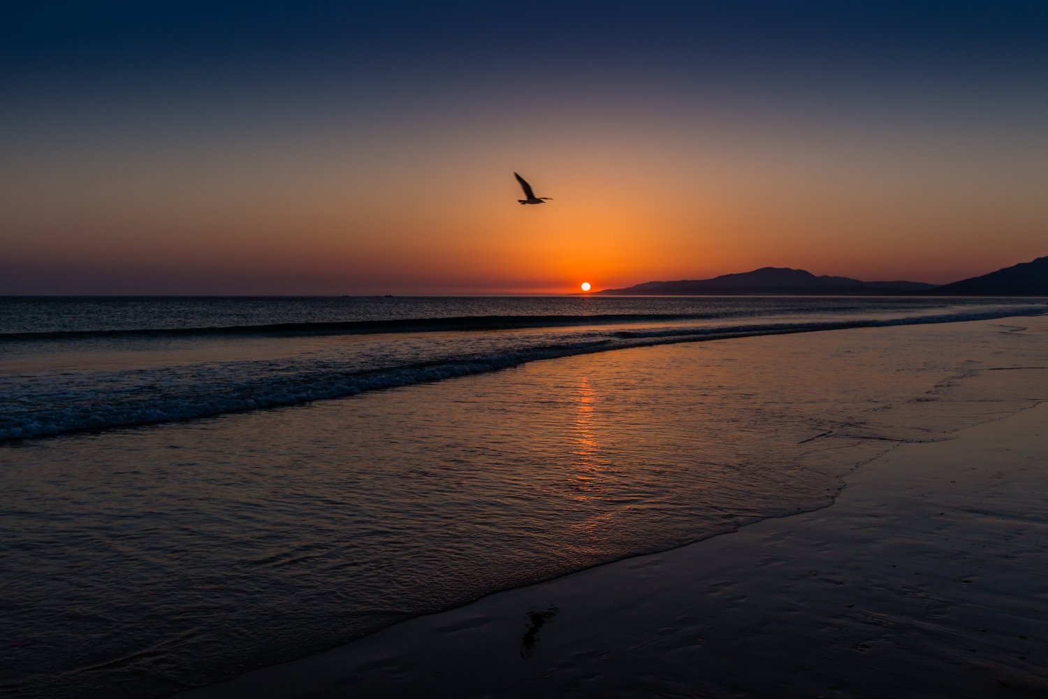 cfhh signs of a mental health disorder beach