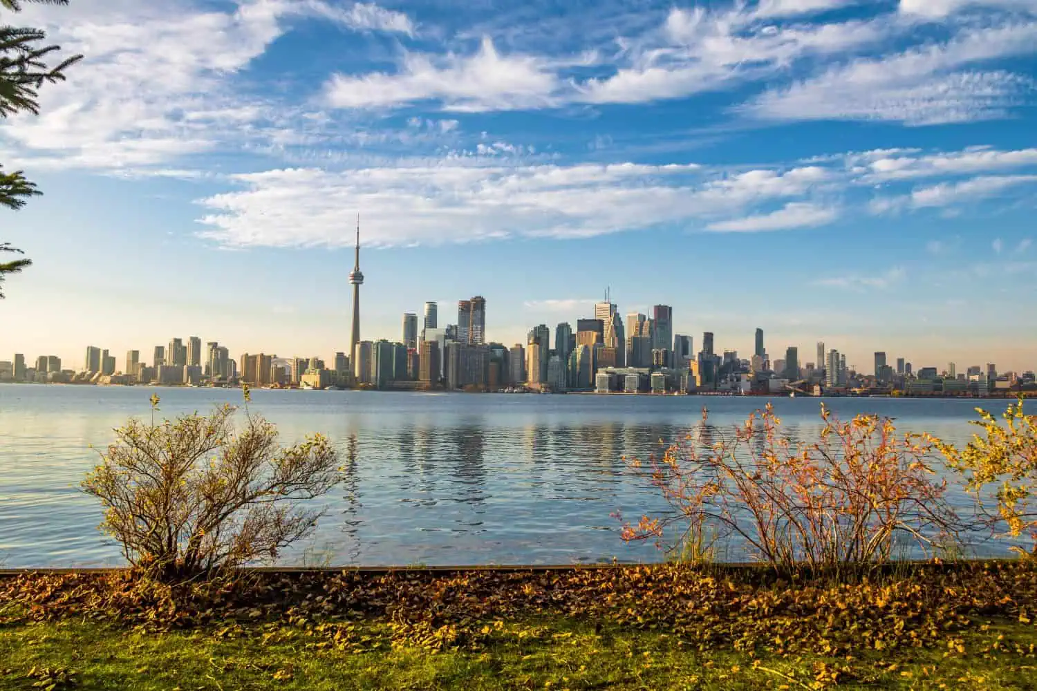 toronto-skyline-with-autumn-vegetation-toronto